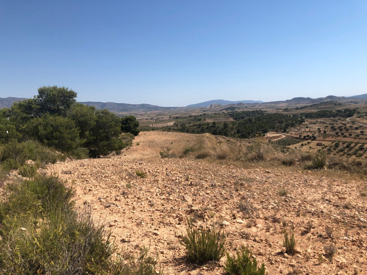 Finca for sale in La Zarza, Murcia, Spain