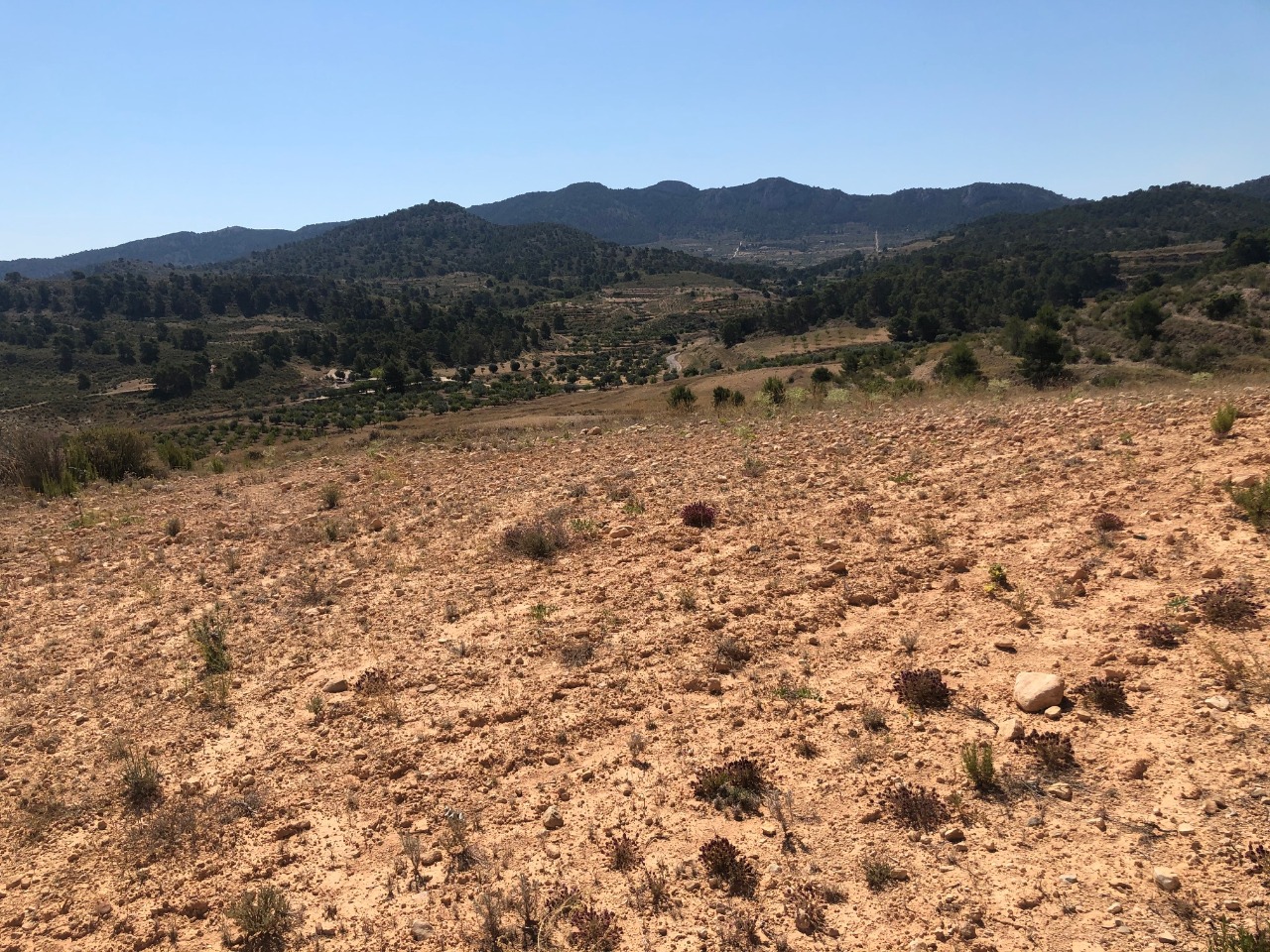 Finca for sale in La Zarza, Murcia, Spain