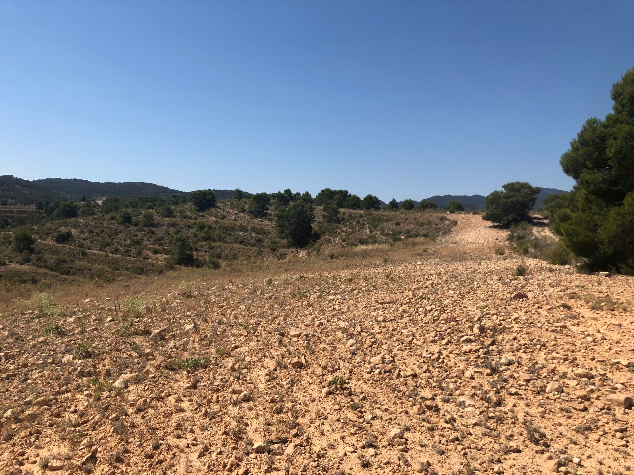 Finca for sale in La Zarza, Murcia, Spain