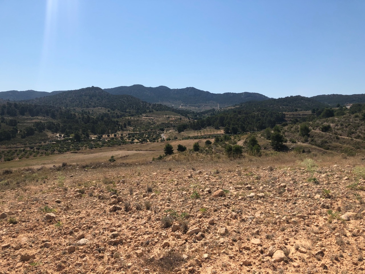 Finca for sale in La Zarza, Murcia, Spain