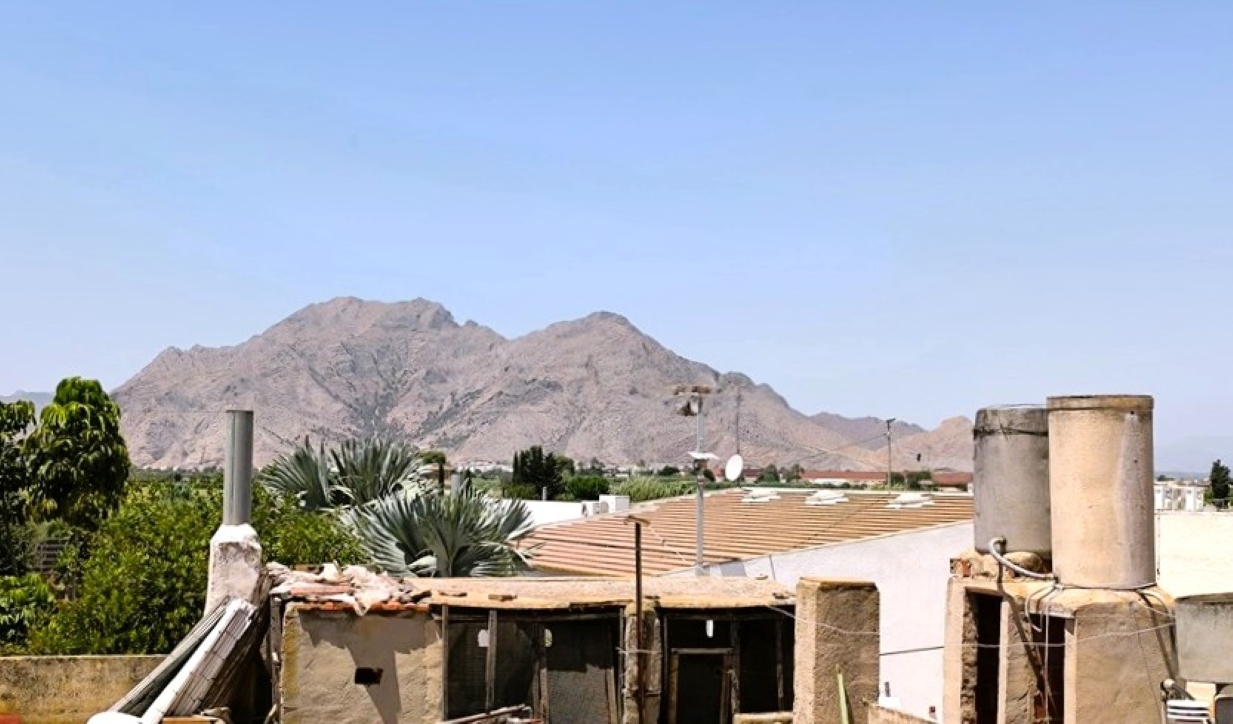 Commercial Property for sale in Rafal, Alicante, Spain