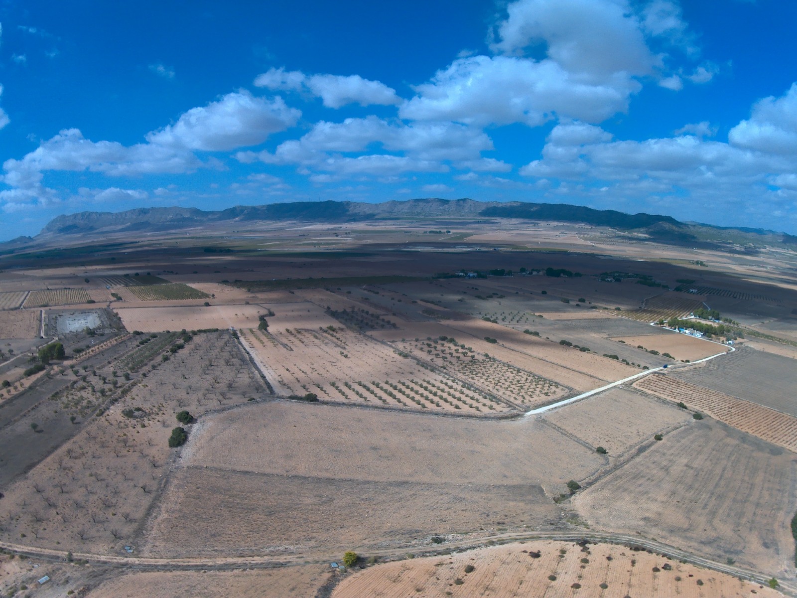 Finca for sale in Yecla, Murcia, Spain