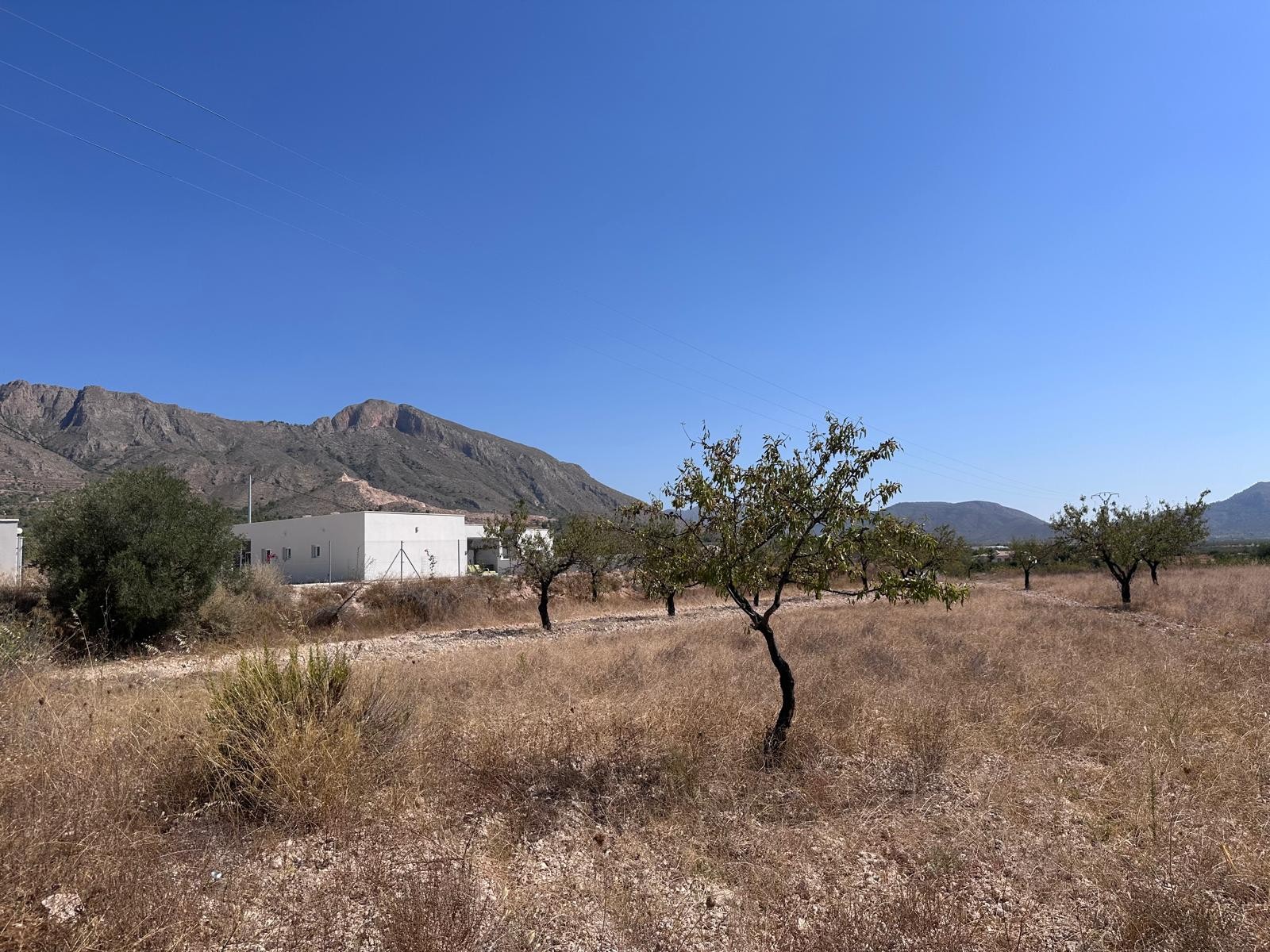 Finca for sale in Macisvenda, Murcia, Spain