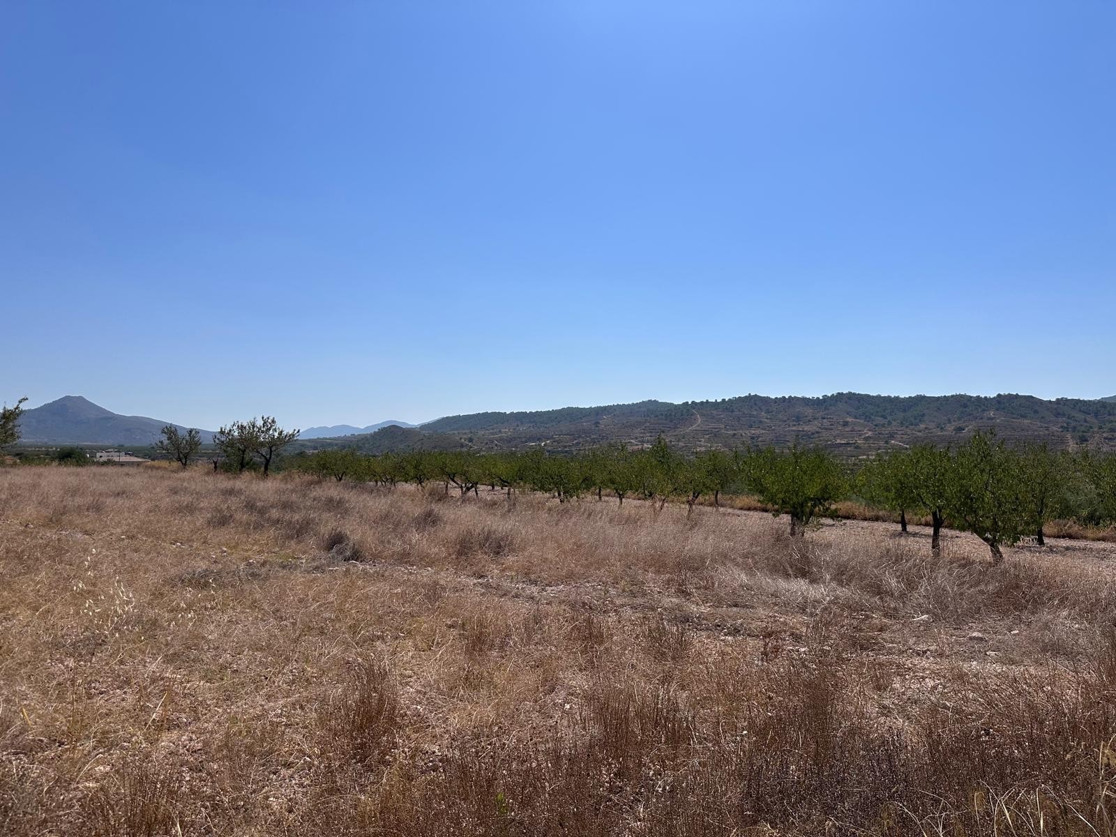Finca for sale in Macisvenda, Murcia, Spain