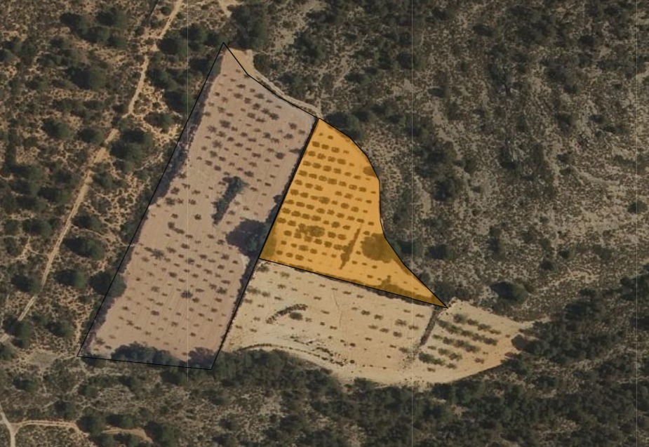 Finca for sale in Yecla, Murcia, Spain