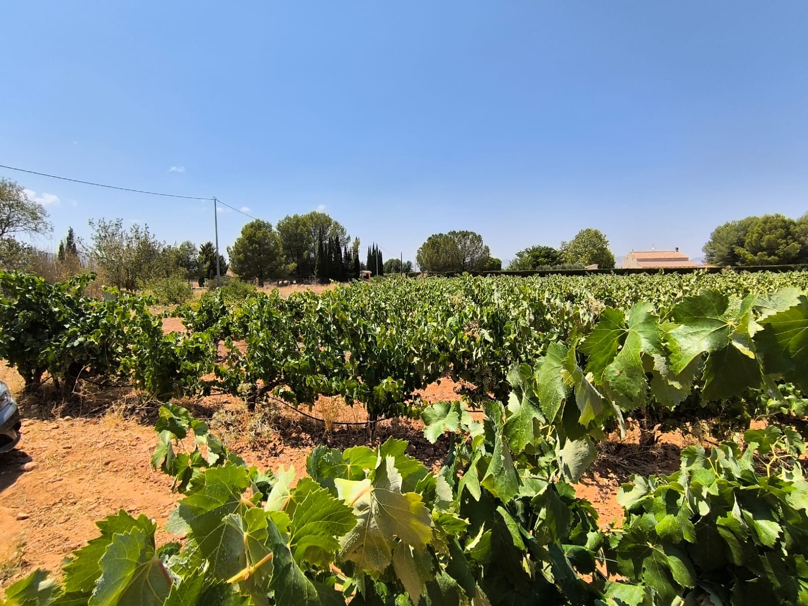 Finca for sale in Yecla, Murcia, Spain