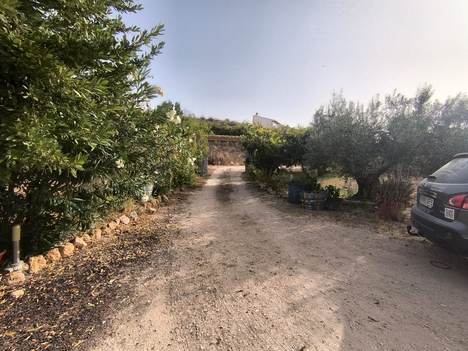 Commercial Property for sale in Pinoso, Alicante, Spain