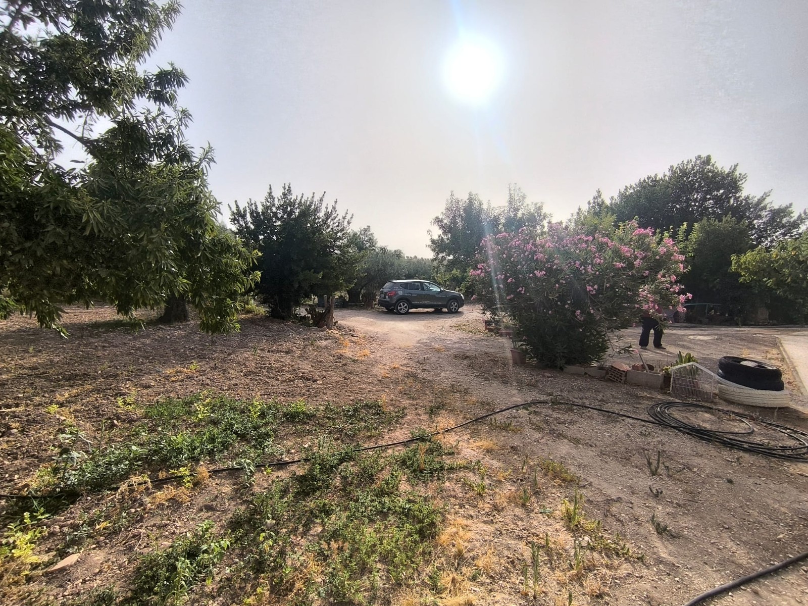 Commercial Property for sale in Pinoso, Alicante, Spain
