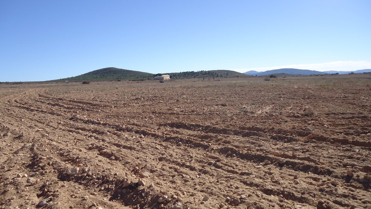 Finca en venta en Yecla