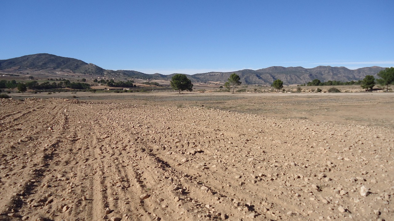 Finca en venta en Yecla