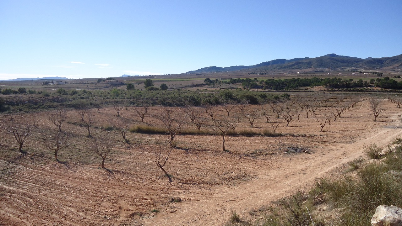 Finca en venta en Yecla