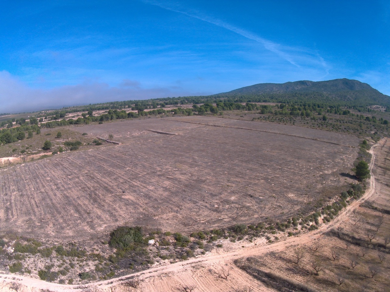 Finca en venta en Yecla