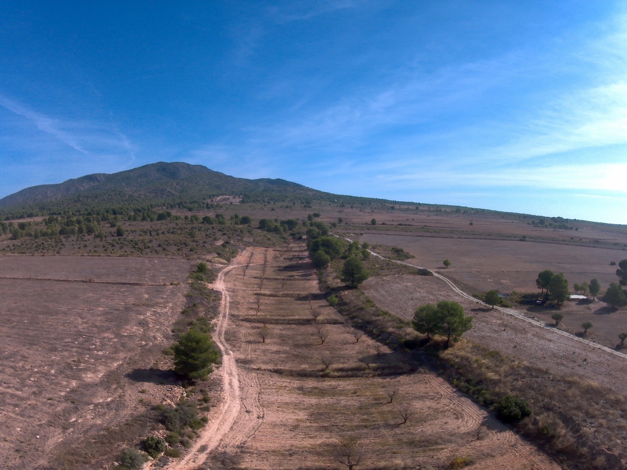 Finca en venta en Yecla
