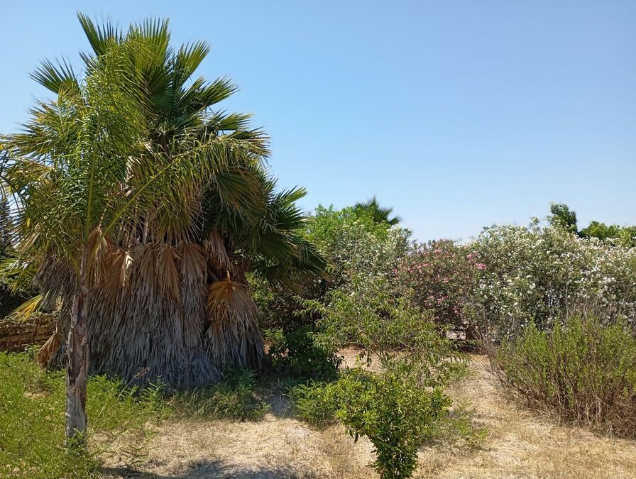 Casa de Campo en venta en Daya Nueva