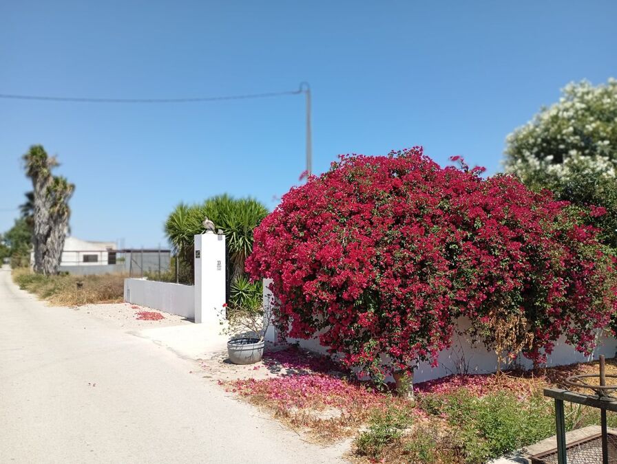 Casa de Campo en venta en Daya Nueva