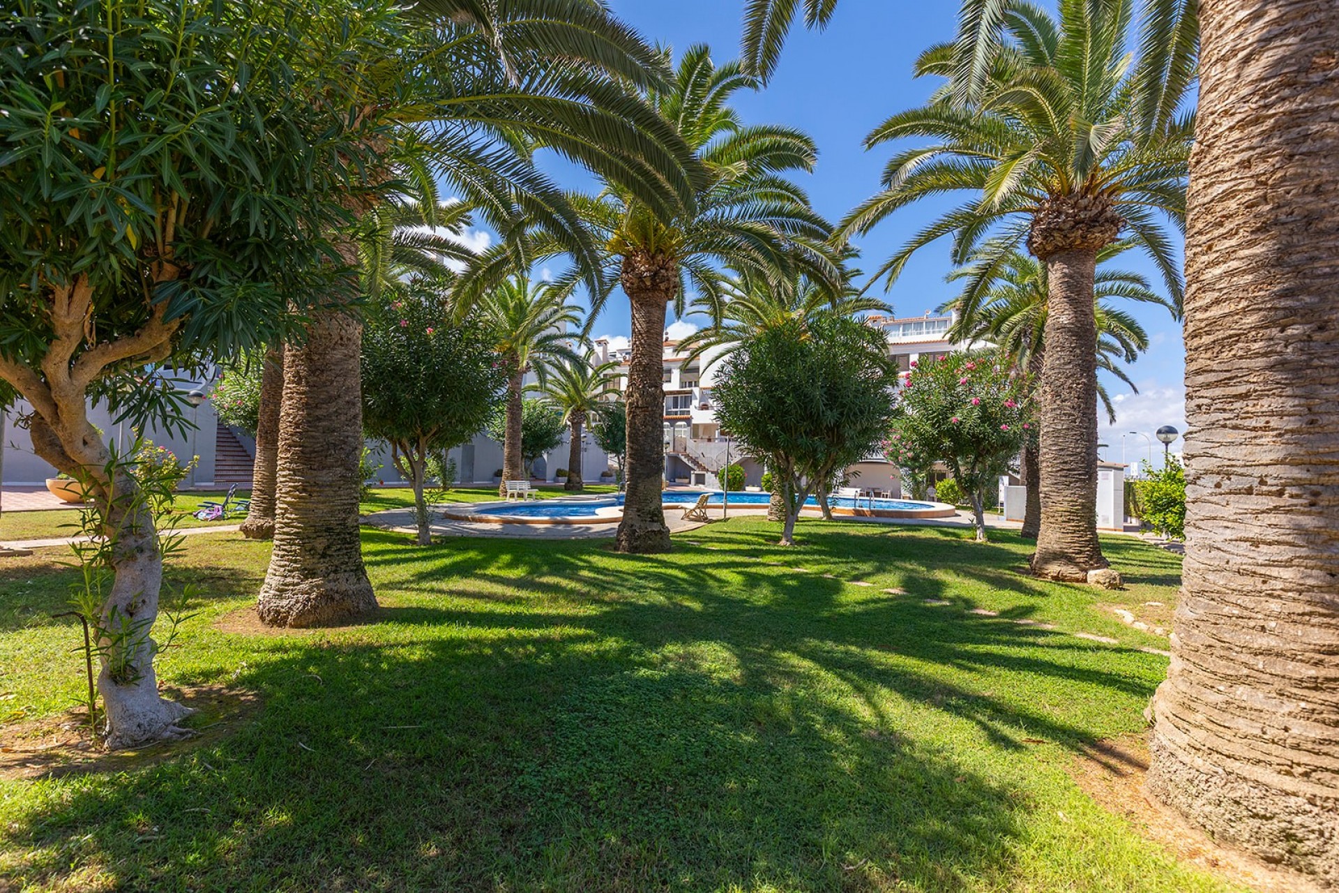 Apartment for sale in La Mata, Alicante, Spain