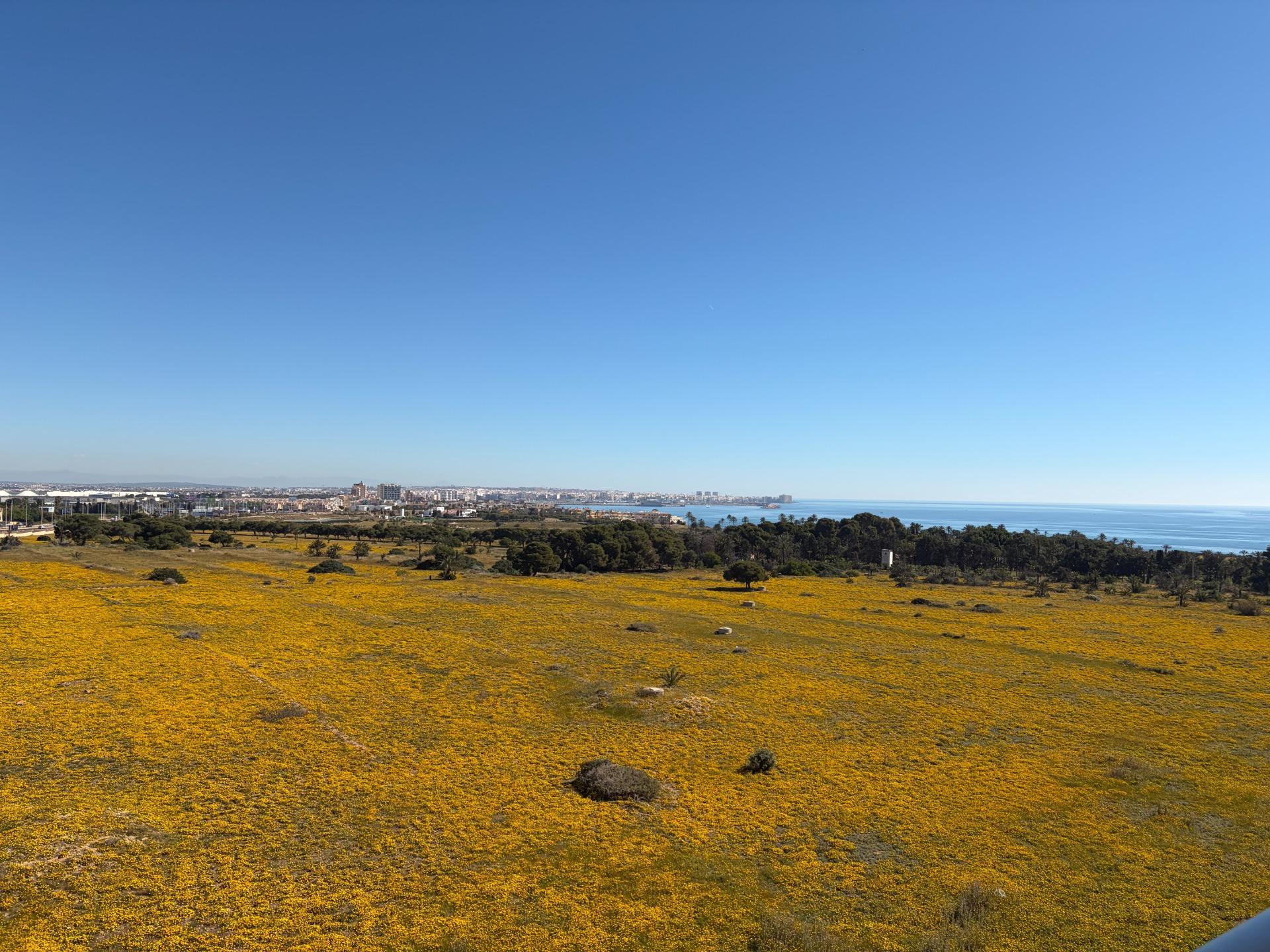 Penthouse for sale in Torrevieja, Alicante, Spain