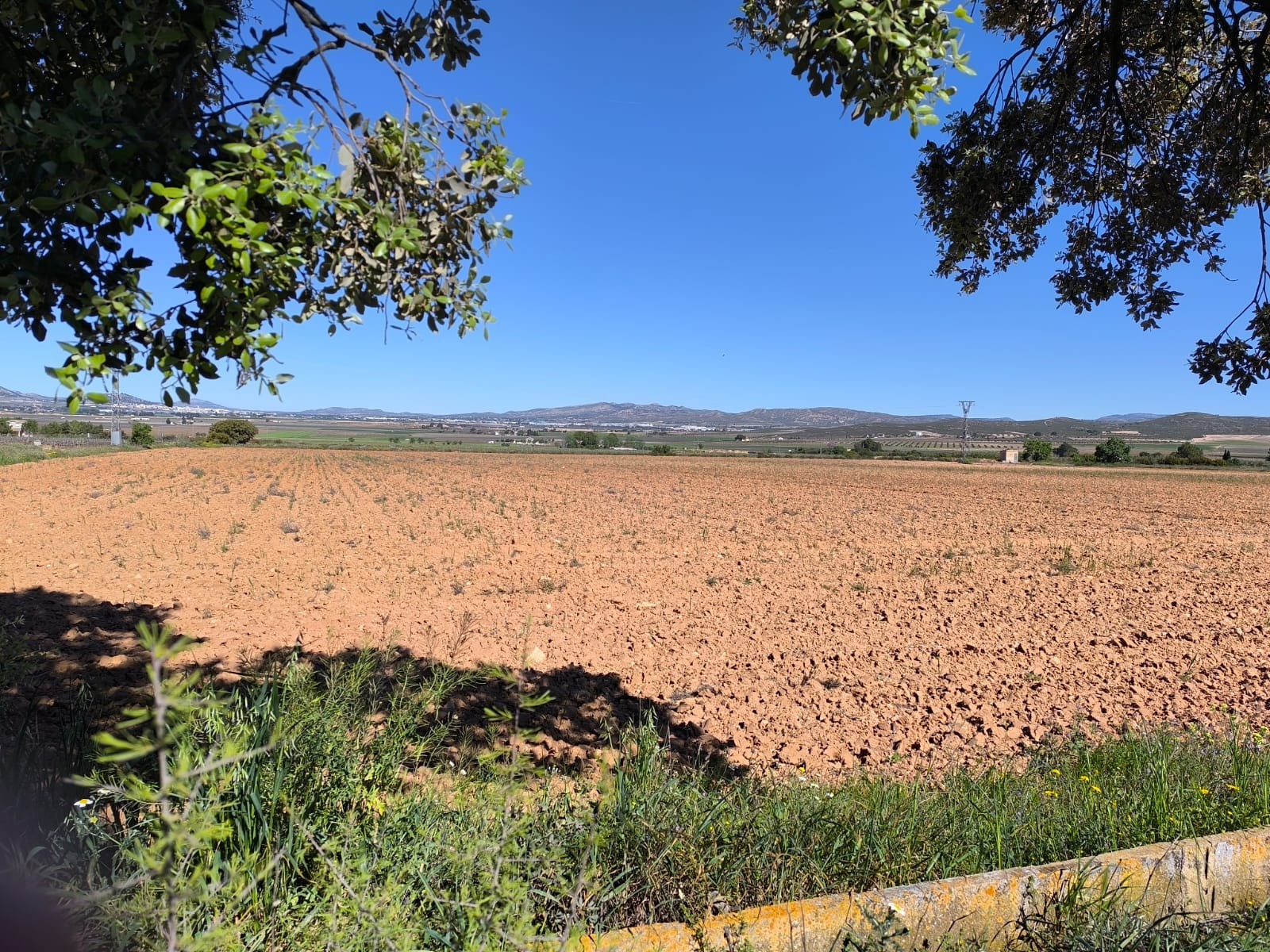 Finca for sale in Yecla, Murcia, Spain