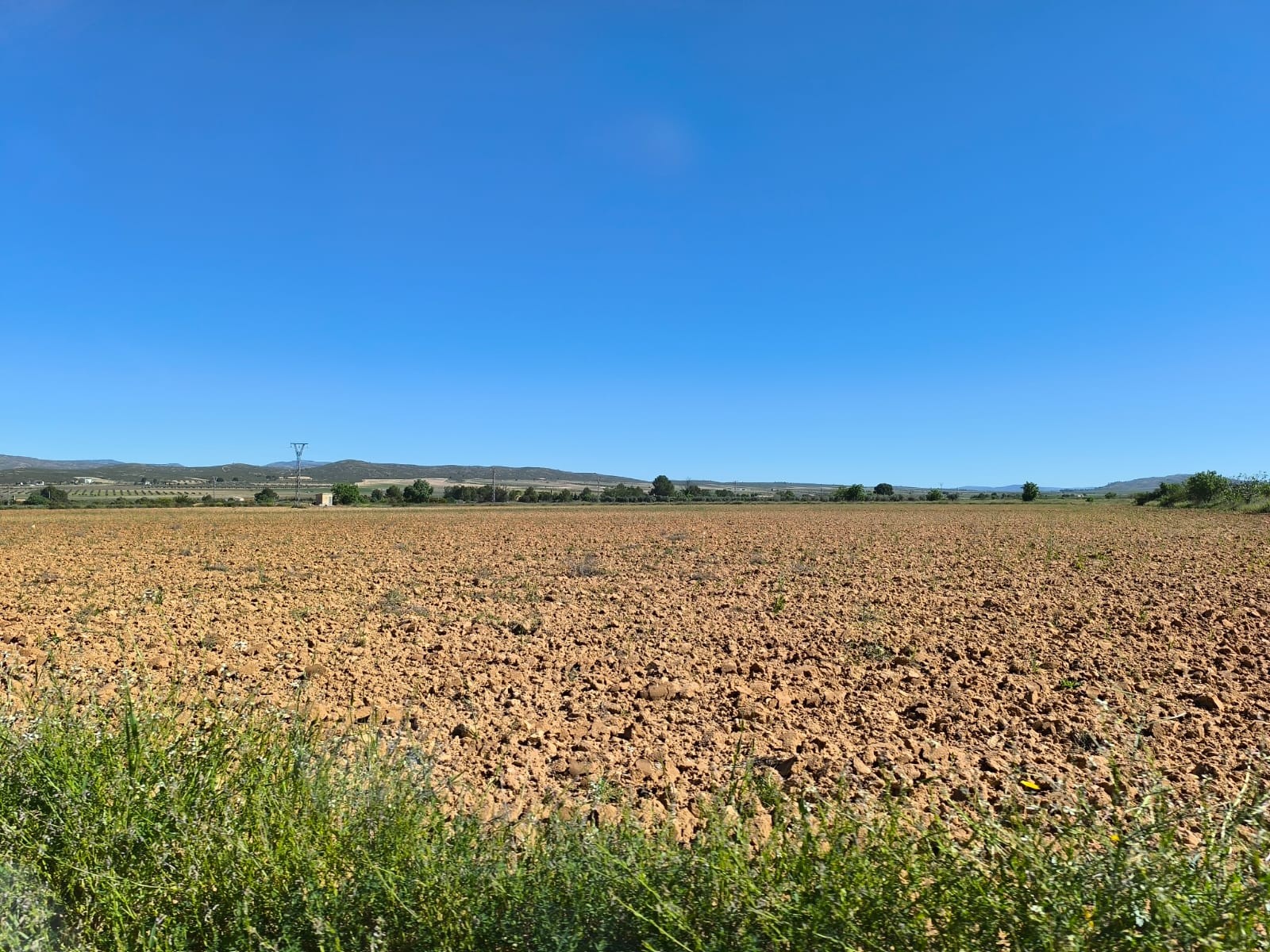 Finca en venta en Yecla