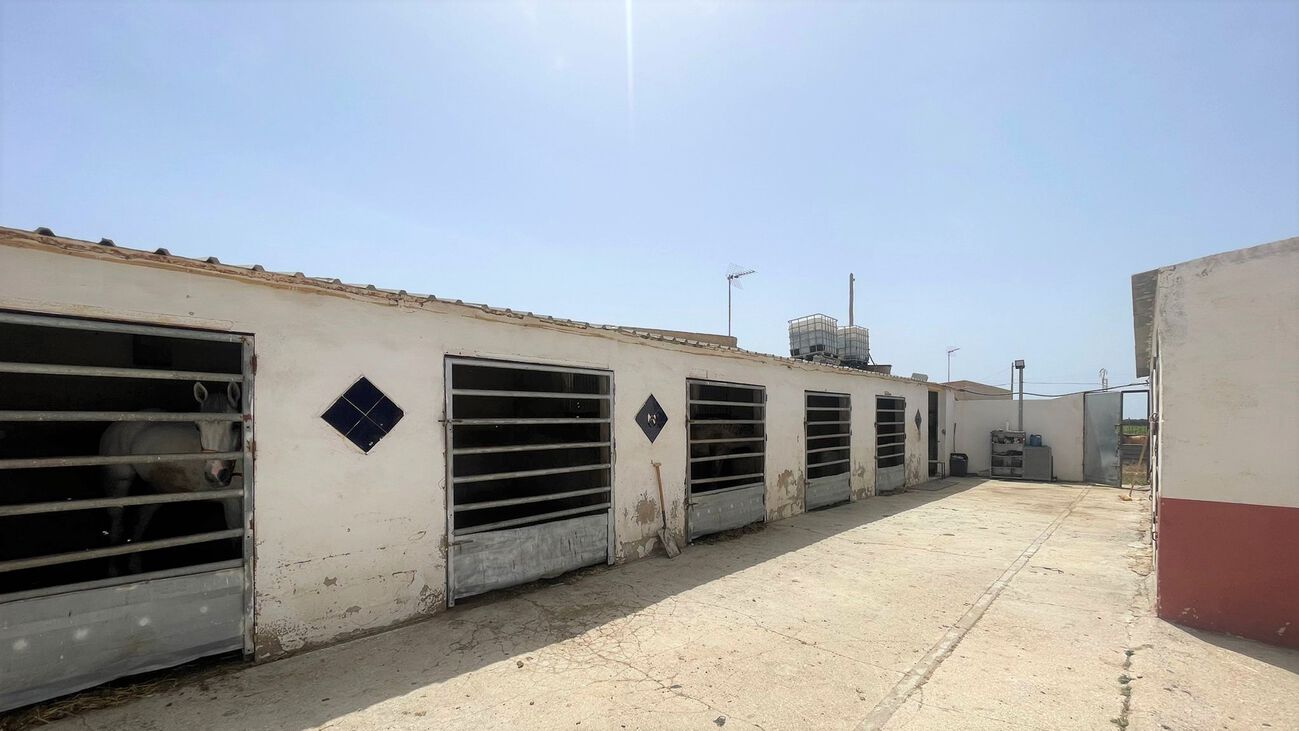 Comercial en venta en Balsicas