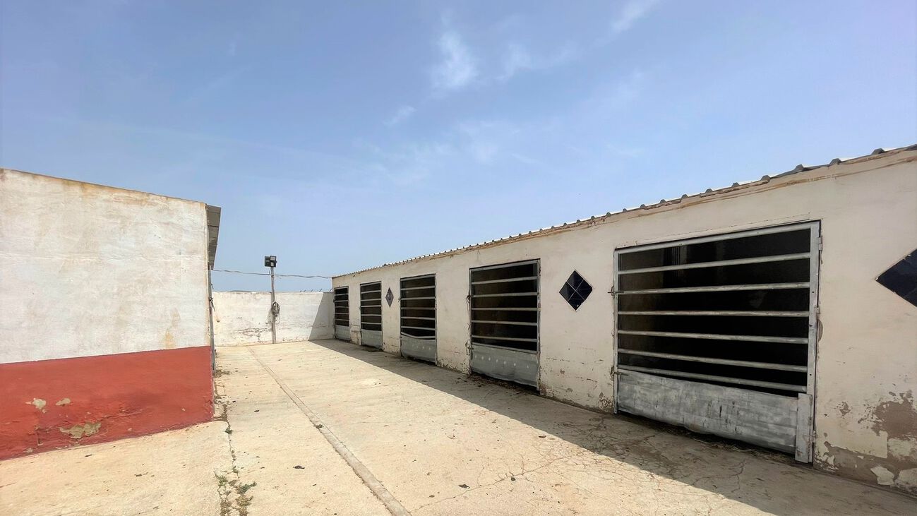 Comercial en venta en Balsicas