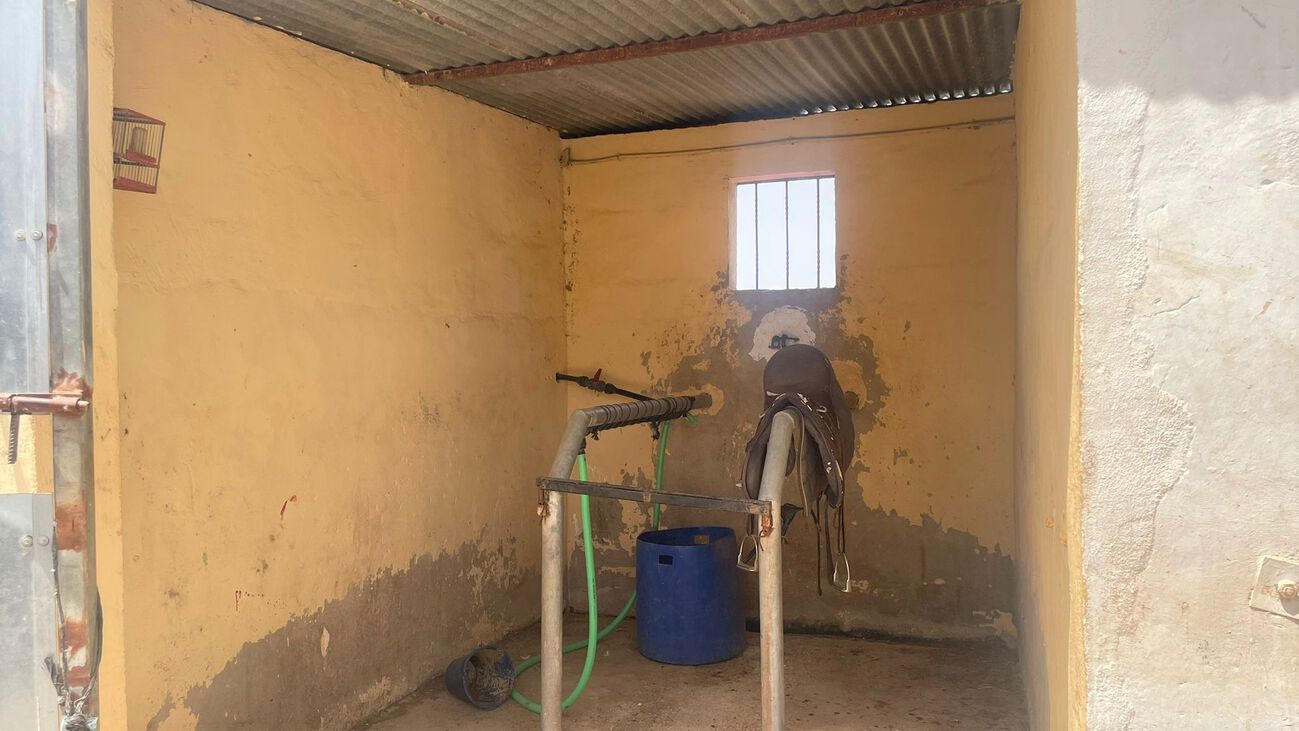 Comercial en venta en Balsicas