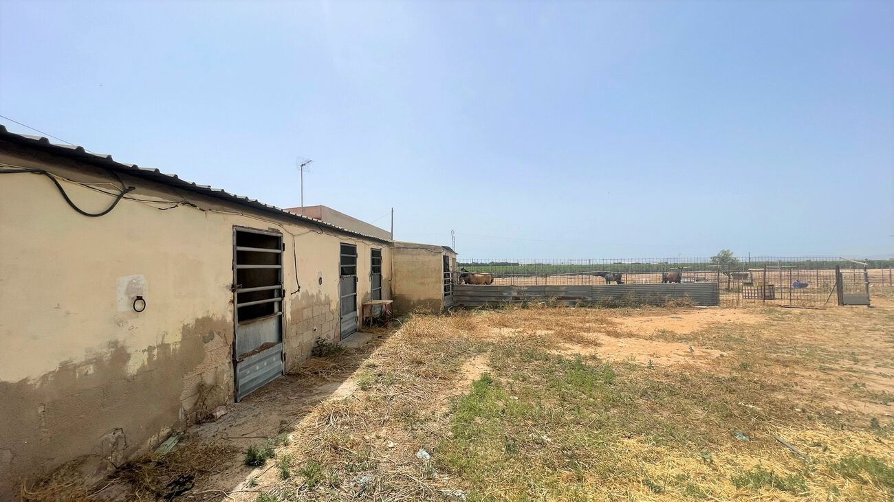 Comercial en venta en Balsicas