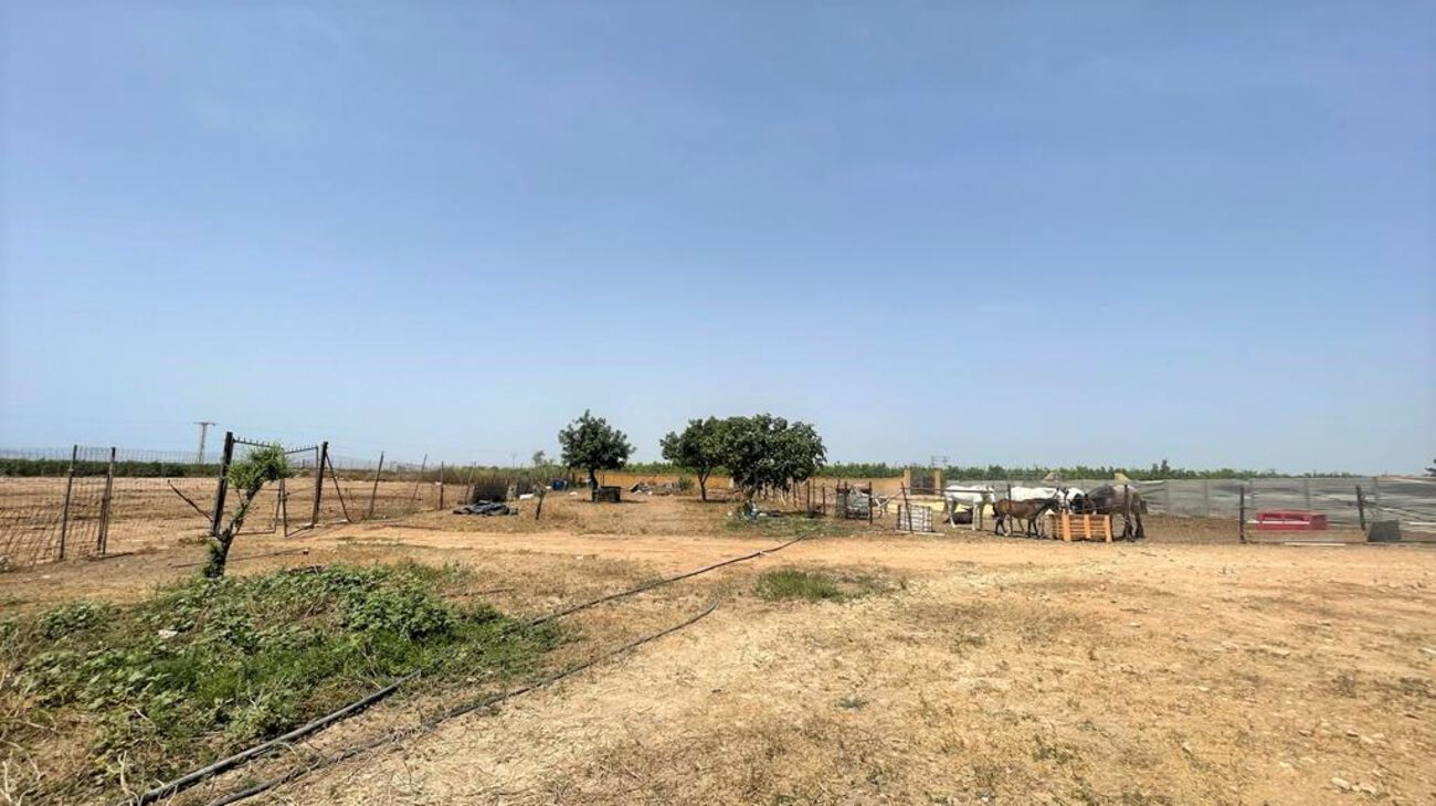 Comercial en venta en Balsicas