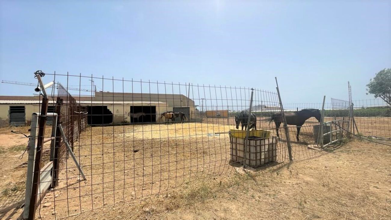 Comercial en venta en Balsicas