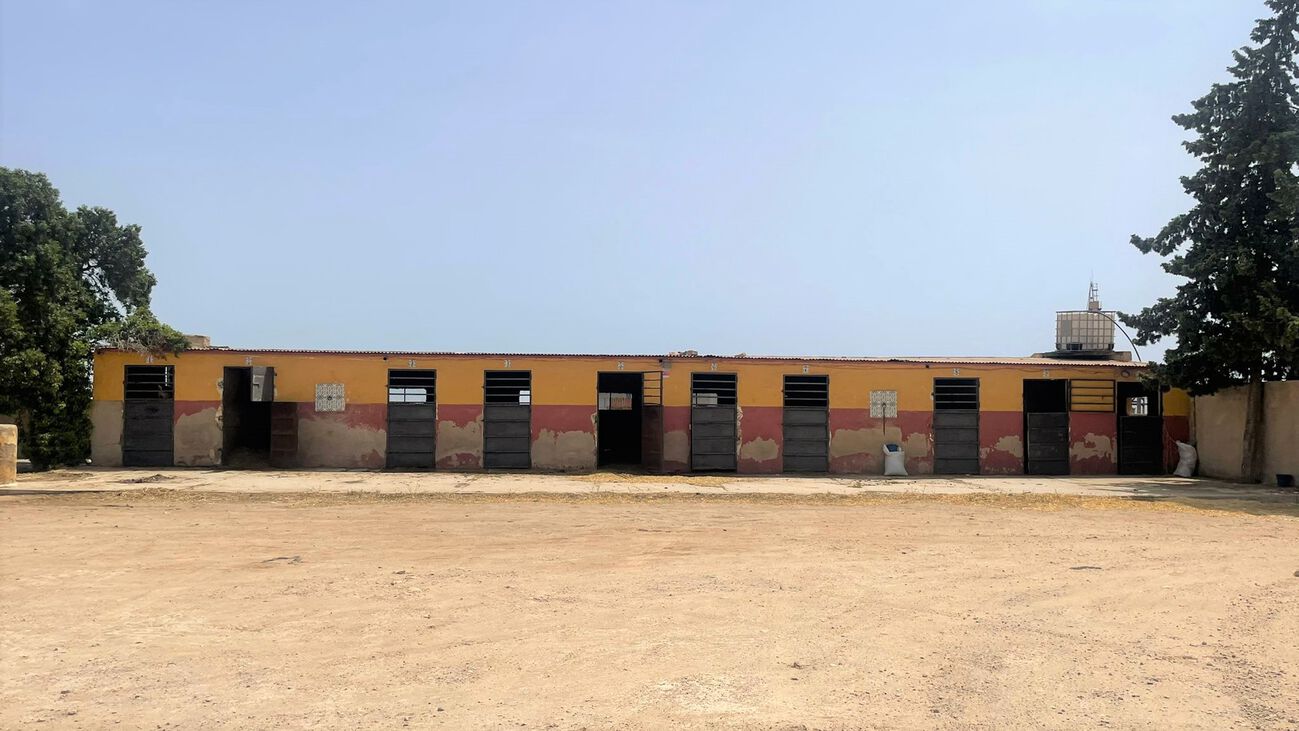 Comercial en venta en Balsicas