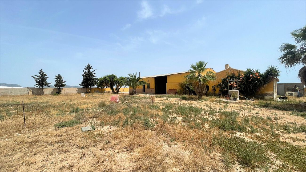 Comercial en venta en Balsicas