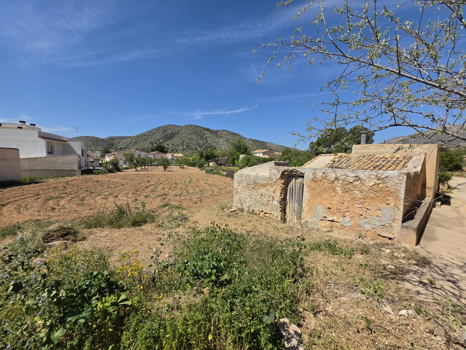 Finca for sale in Hondón De Las Nieves, Alicante, Spain