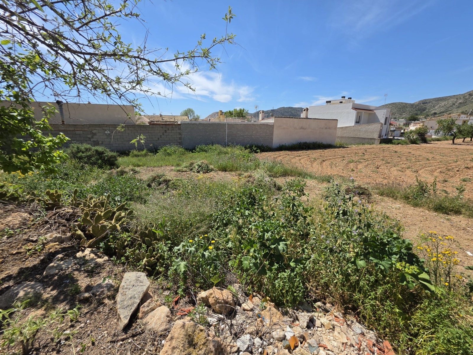 Finca for sale in Hondón De Las Nieves, Alicante, Spain