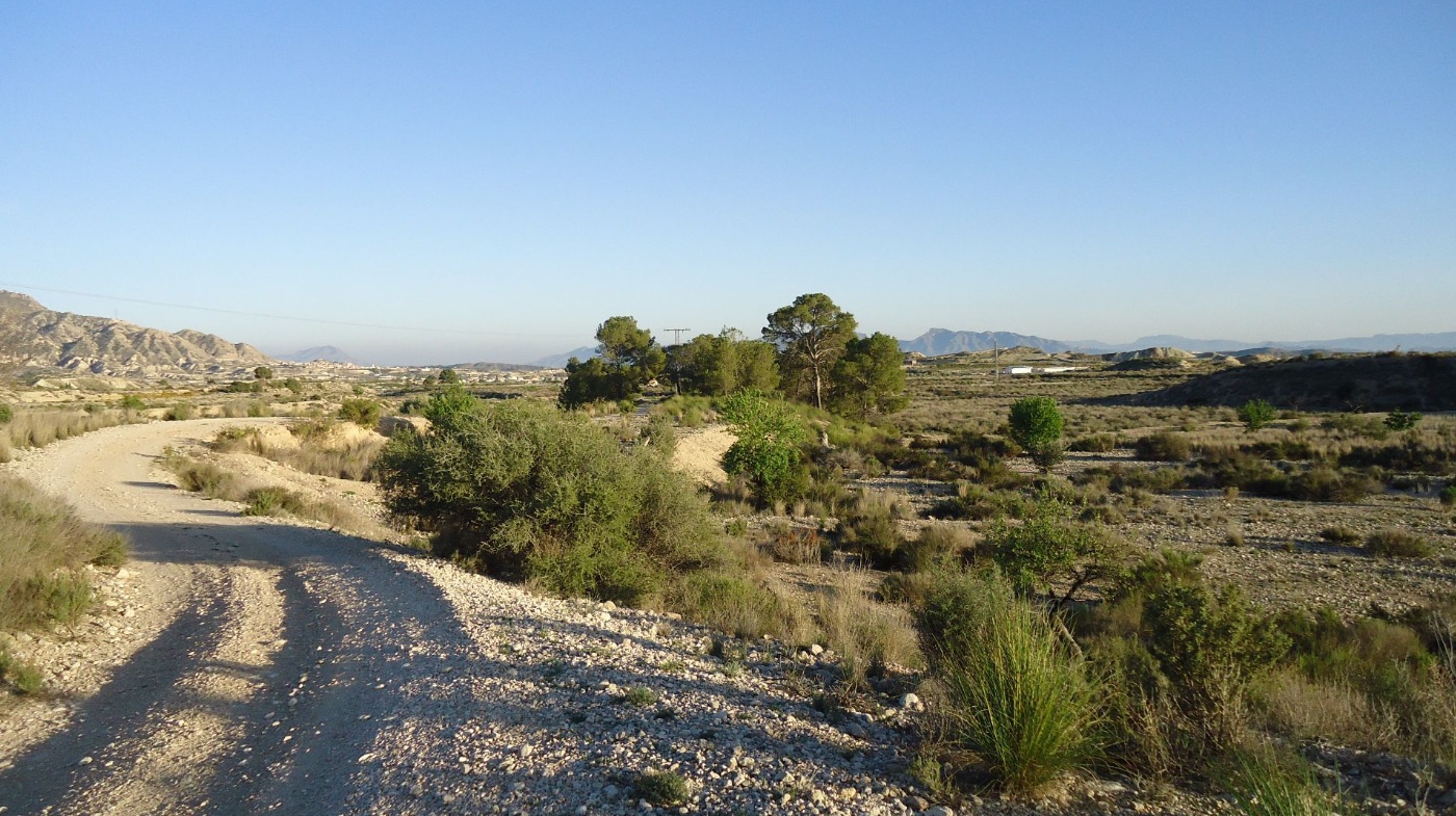 Finca for sale in Abanilla, Murcia, Spain
