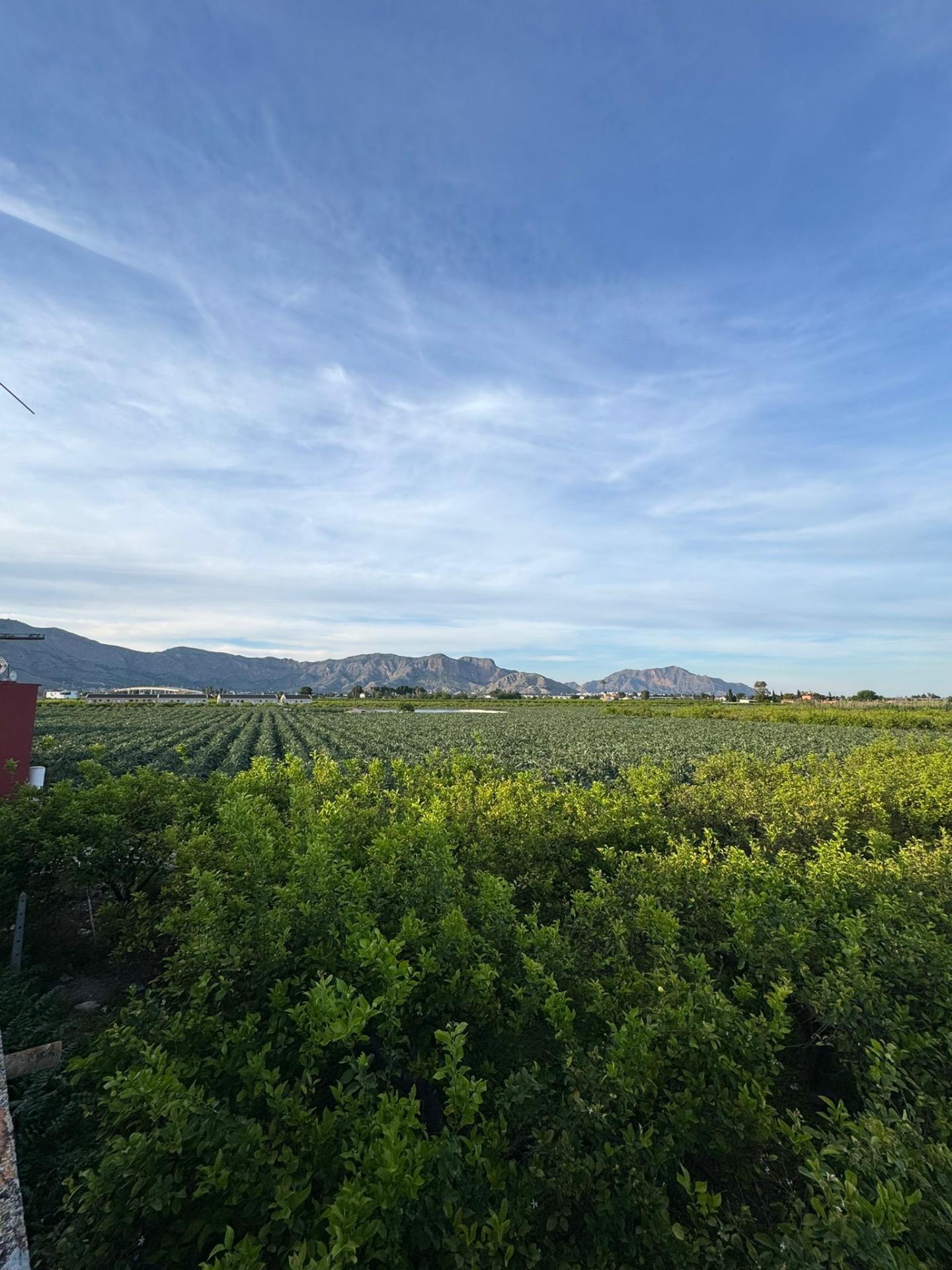 Town House en venta en Orihuela