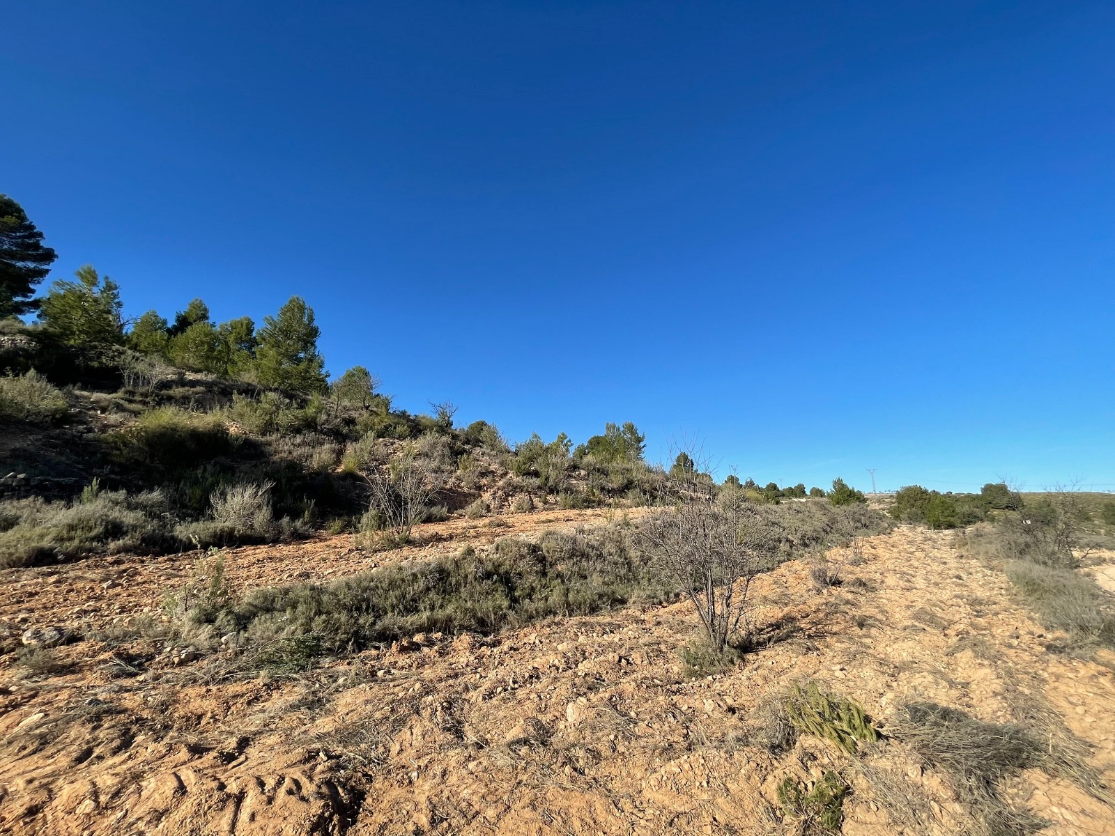Finca en venta en La Zarza