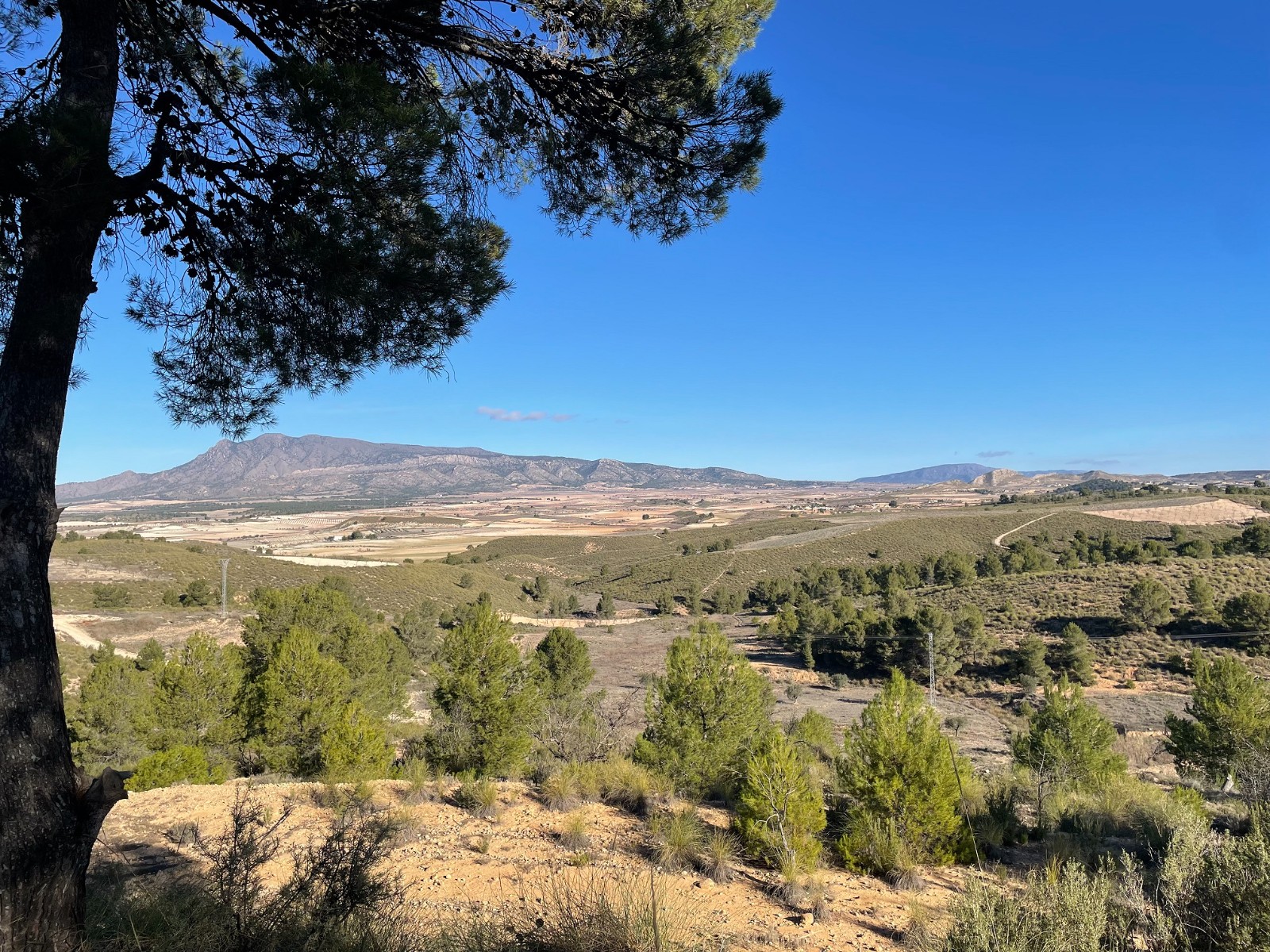 Finca en venta en La Zarza