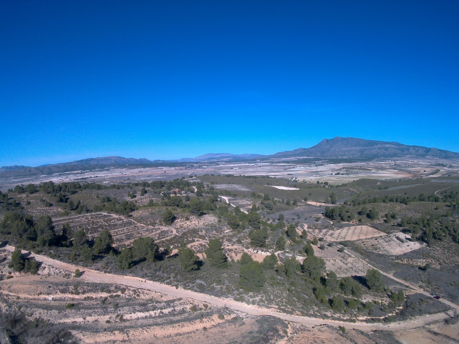 Finca en venta en La Zarza