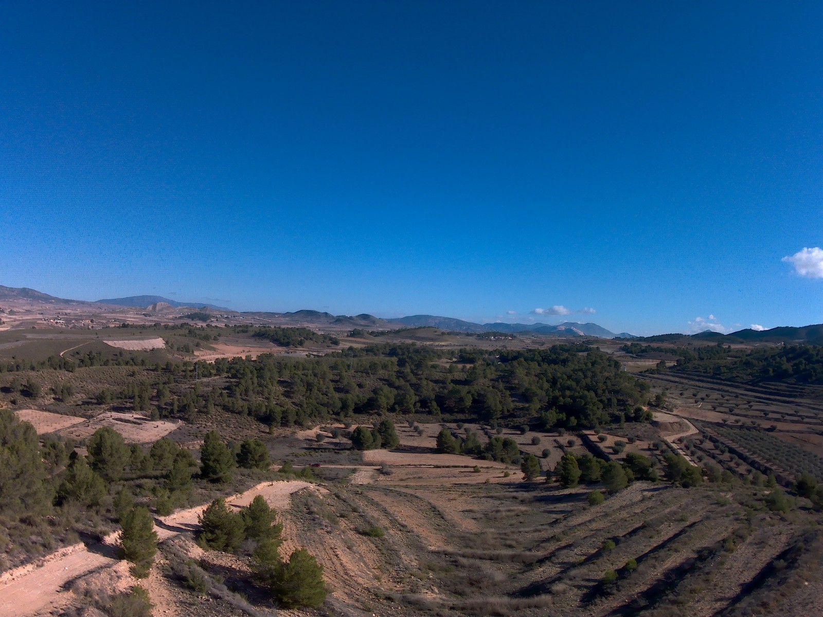 Finca en venta en La Zarza
