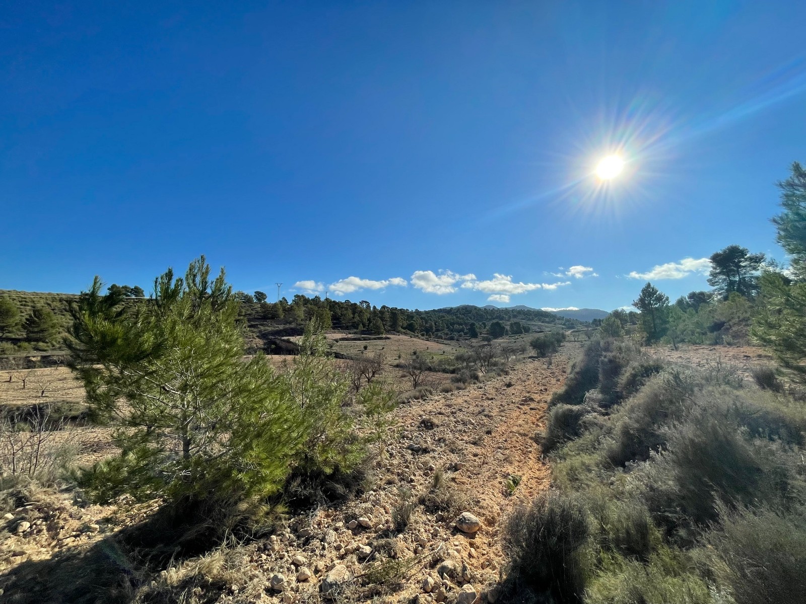 Finca en venta en La Zarza