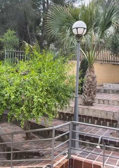 Villa en venta en El Palmar