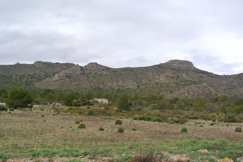 Finca en venta en Yecla