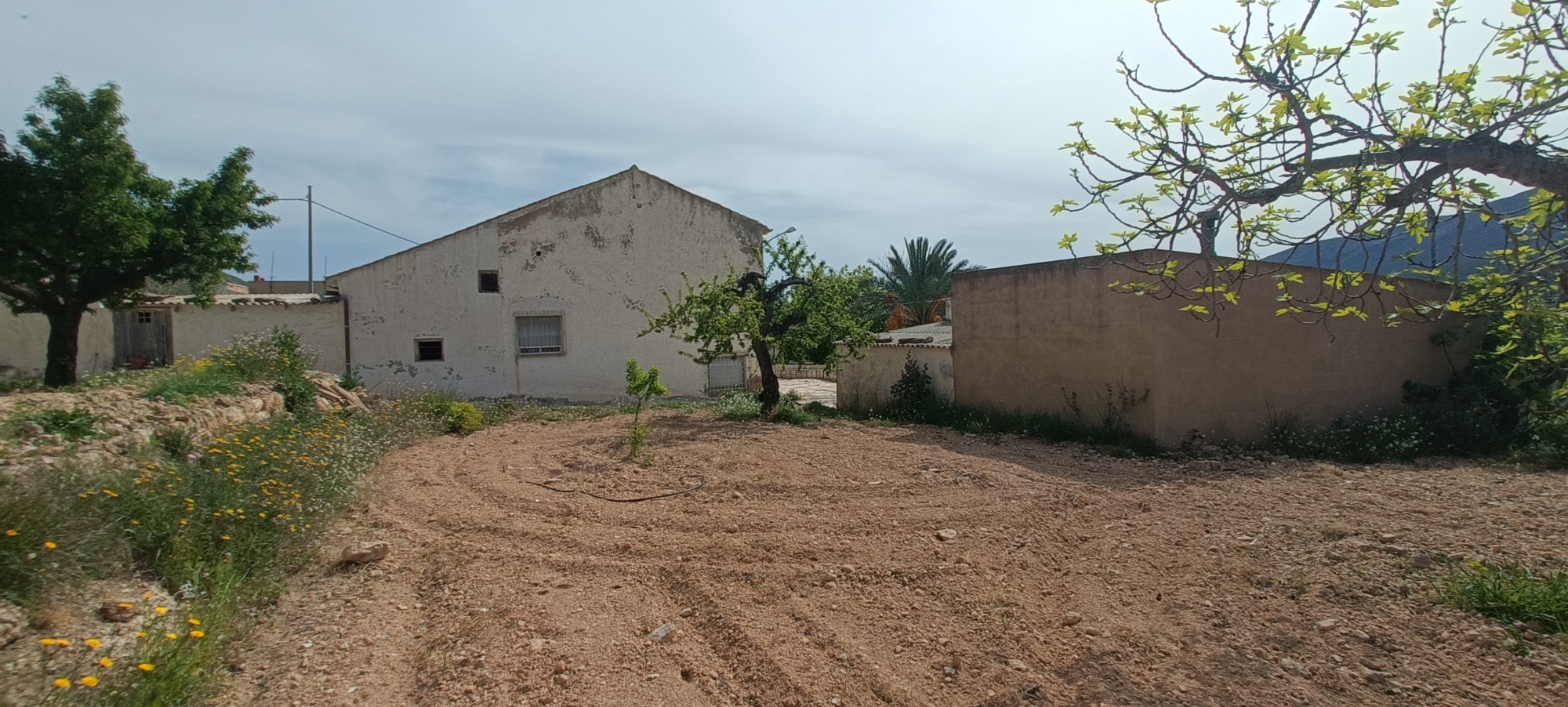 Villa en venta en La Romana