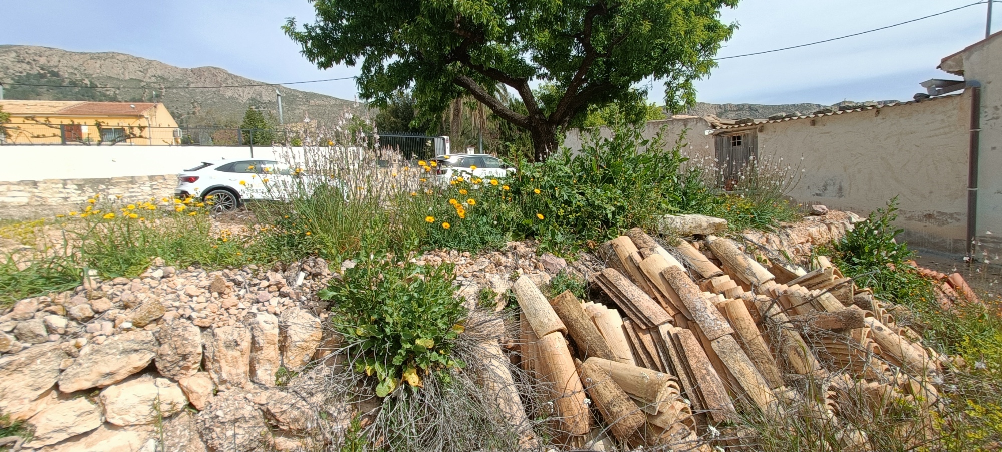 Villa en venta en La Romana