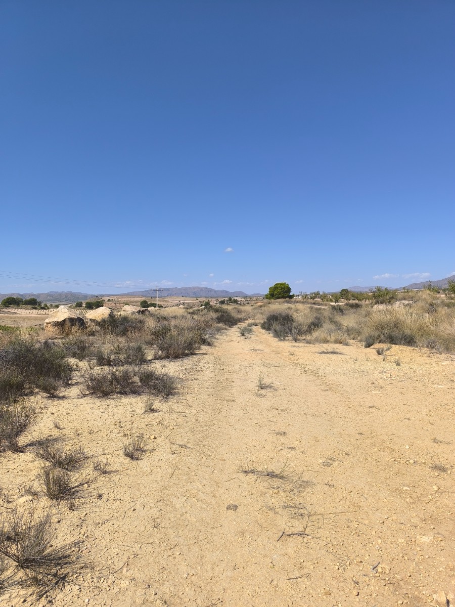 Finca en venta en Jumilla