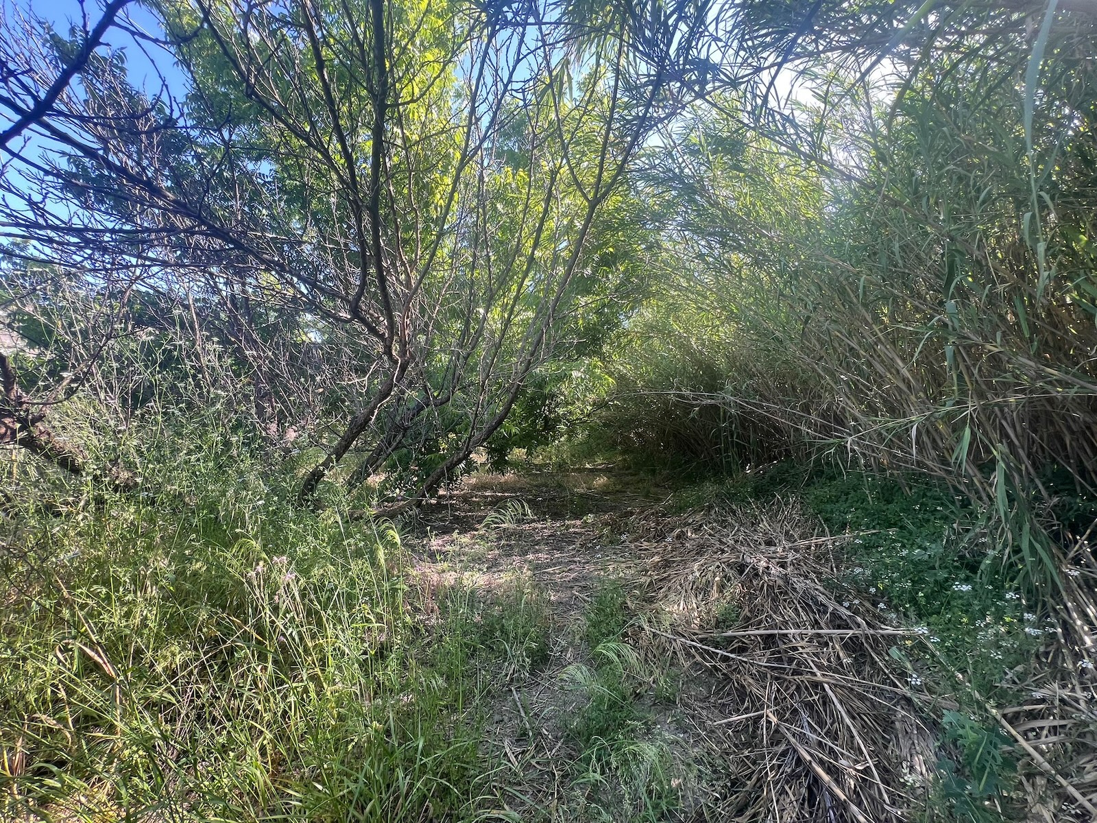 Finca for sale in Alhaurin El Grande, Málaga, Spain