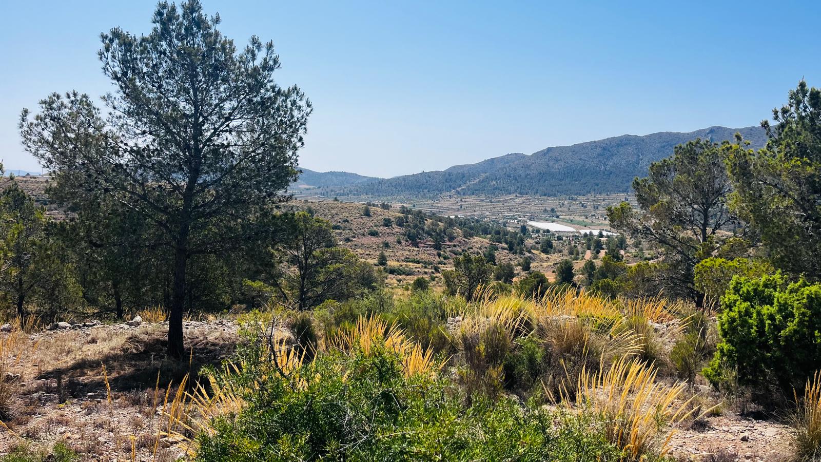 Finca for sale in La Romana, Alicante, Spain