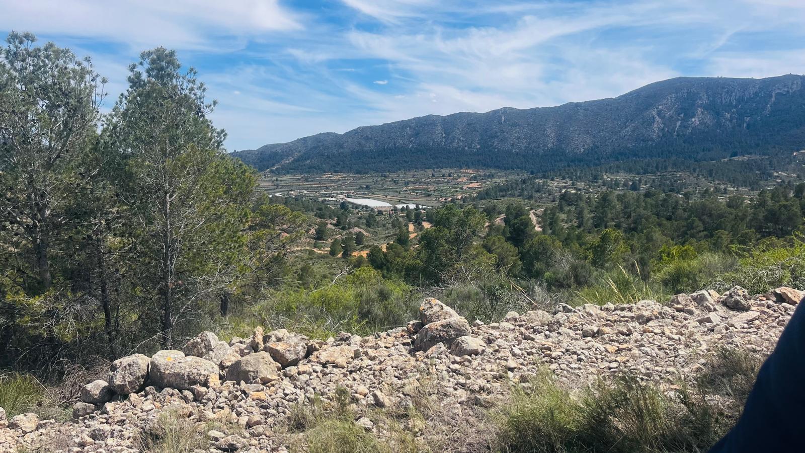 Finca for sale in La Romana, Alicante, Spain