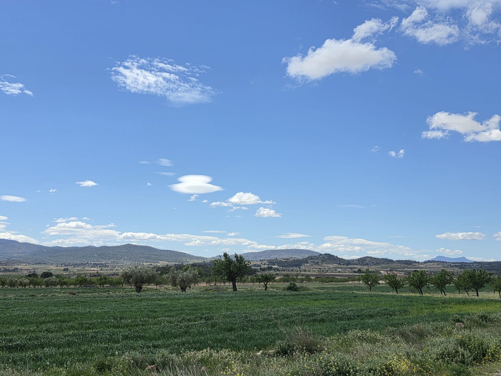 Finca en venta en Monóvarmonóver