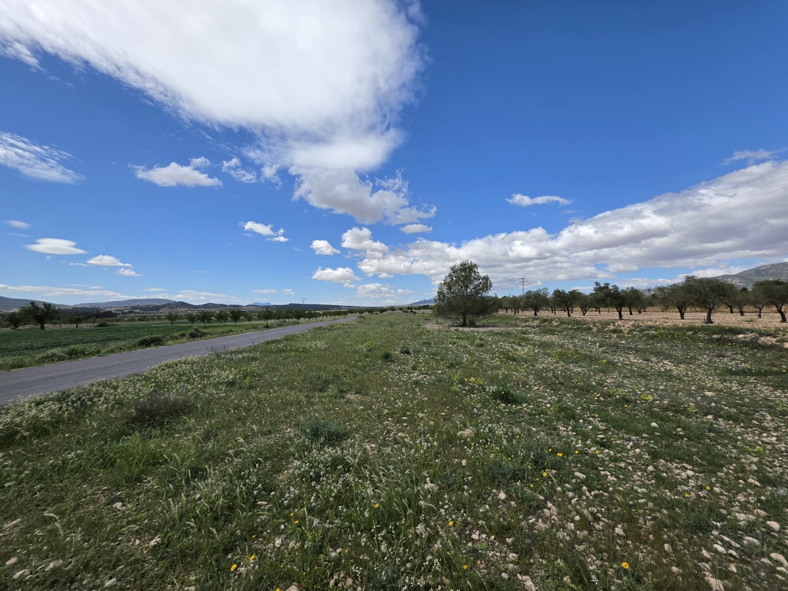 Finca en venta en Monóvarmonóver
